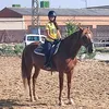amo.los.caballos_0