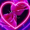 omid.safa5