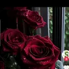gullxanm.11