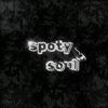 spotysoul