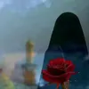 rehanaalmustafa948