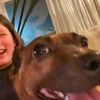 liz_driessen
