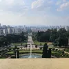 fernandojosebacci