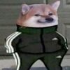stupid_guy_that_exists