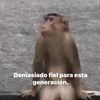 jose.yasmani0