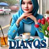 dian9537