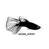gayam_guppy