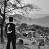 theforestisburning