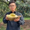 thinh.sau.rieng