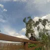 pependarto1