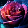 user95180027652155