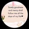 slovet_8t