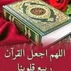 user28751400126568