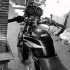 mp_jaenap