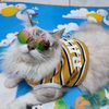 ratu_cing