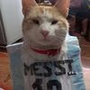 cubosaurio8