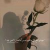 white_flower092