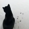 nyaa._q