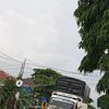 farelsaputra4481
