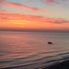 albina_555_5