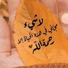farajj8