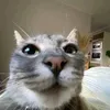 thmrnh2