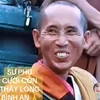v.vi.v.ng