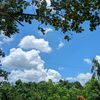 প্রকৃতির প্রেম 🌿