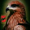 wnmkt1