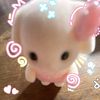 lopp960