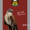 user6219333127280