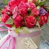 flowers__725