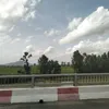 giaminh_hlap173