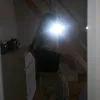 nixi_spola