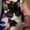 .yxtps_