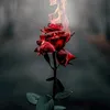 ytrriy8