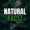 Best Facts 🏆