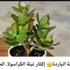 user1921001725198