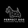 perfectdogsthailand