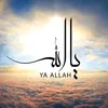 sa.a.h.13