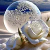 abbas.wolf