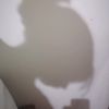 nanda_fer012
