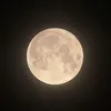 🌙 ✧ moon. ꒱