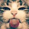 zmatyy