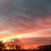 sunriseking77