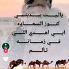 user9410103766002