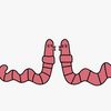 peaceamongworms