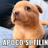 ngeljoestar6