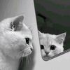 about._you03