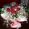 user4600696315331